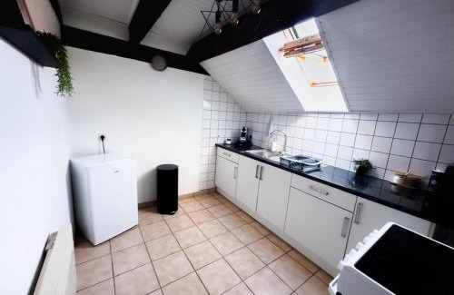 Soultz-Haut-Rhin Apartamento | Duplex centre ville