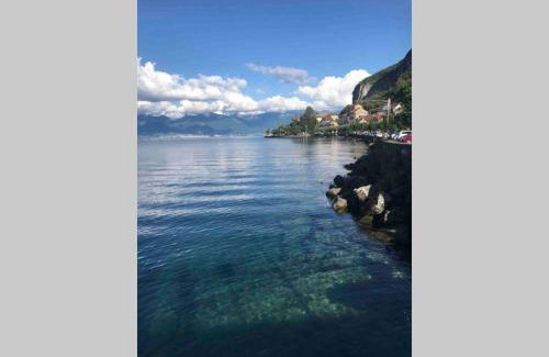Thollon-les-Memises Apartamento | Duplex en station vue sur lac Leman