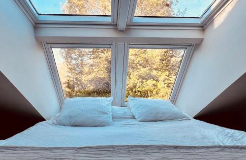 Schoorl Apartamento | Duynbossie