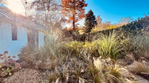 Schoorl Apartamento | Duynbossie