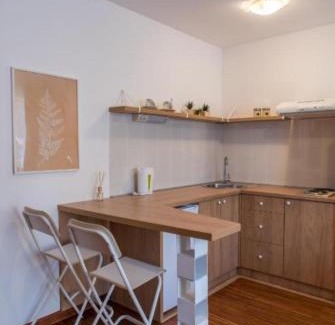Vrnjacka Banja Apartamento | Dvoristance