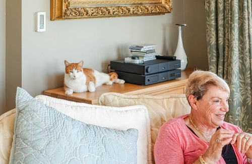 Cashmere Cama Y Desayuno | Dyers House