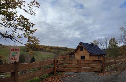 Szczytna Chalet De Esquí | Dzika Polana