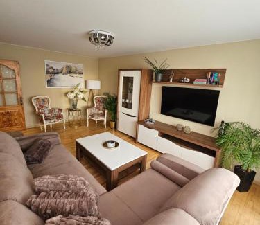 Siauliai Apartamento | E D Arena View Apartment