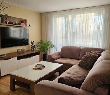 Siauliai Apartamento | E D Arena View Apartment