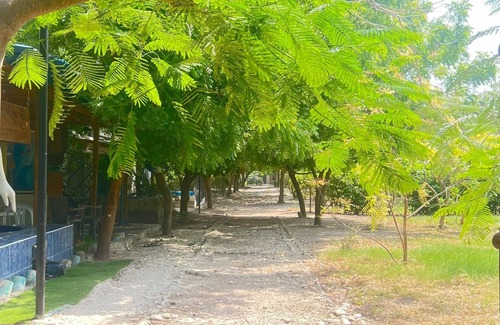 Tierra Bomba Island Cabina | Tierra bomba Cabaña Susurros del Mar