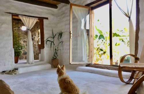 Hayitbuku Chalet De Esquí | Earthouse Retreat