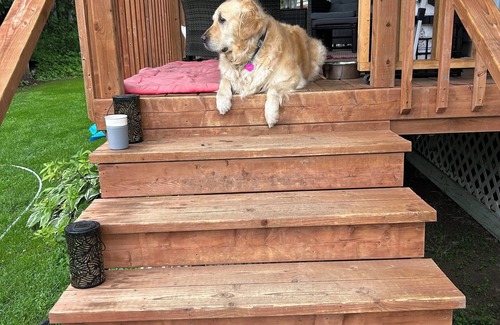 New Denmark Casa | Eastern Canada Cozy Stop over St John River (walking trails)