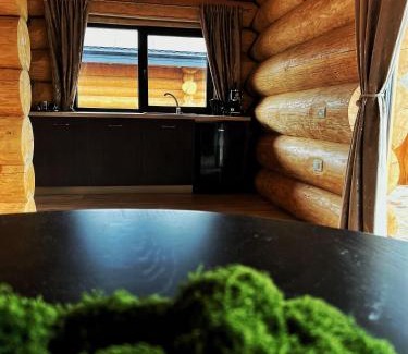 Moisei Cabina | EastWood Cabins