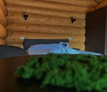 Moisei Cabina | EastWood Cabins
