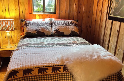 Six Mile Condominio | Easy Tiger Cabin at Lake Keowee, near Clemson, SC