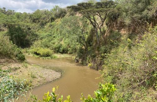 Naivasha Otro | Echoes of Eden: Forest Haven