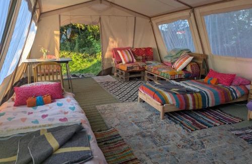 Oosterpoortwijk Otro | Eco-Camping De Helleborus, Yurt, Bell & Safari tent, Pipo, Caravans, Dorms and Units