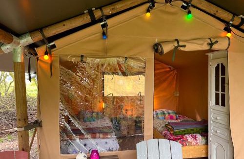 Oosterpoortwijk Otro | Eco-Camping De Helleborus, Yurt, Bell & Safari tent, Pipo, Caravans, Dorms and Units