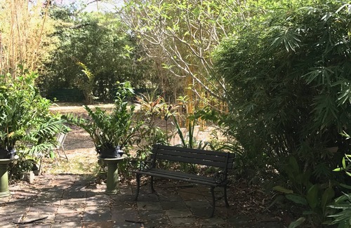 Bridgetown Apartamento | APARTAMENTO ECO FRIENDLY QUAINT PALMETTO