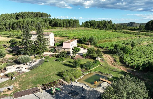 Rosieres Cabaña | CONFORT DE CAMPO CON PISCINA NATURAL ECOLOGICA EN MEDIO DE LAS VIDES