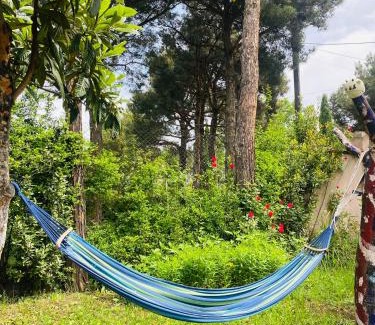 Tbilisi Casa | Eco Holiday House