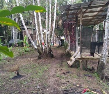 Leticia Casa | ECO HOSTAL El VIEJO BOSQUE TOUR AMAZON