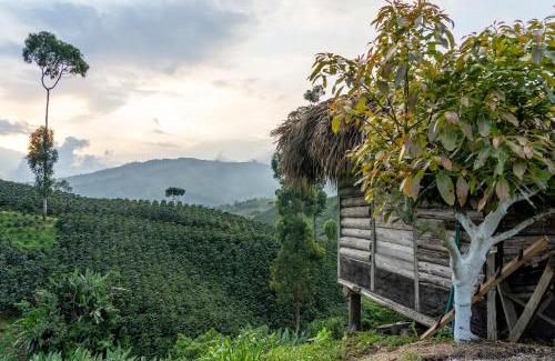 La Estrella Otro | Eco Hotel Glamping El Silencio