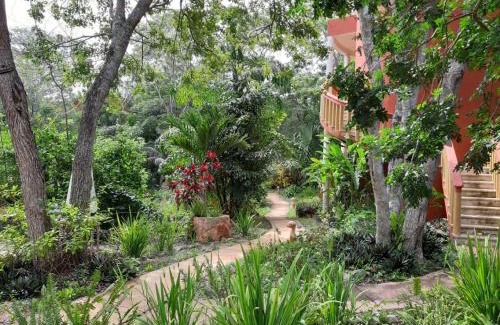 Santa Elena Cabina | Eco-Hotel Nueva Altia