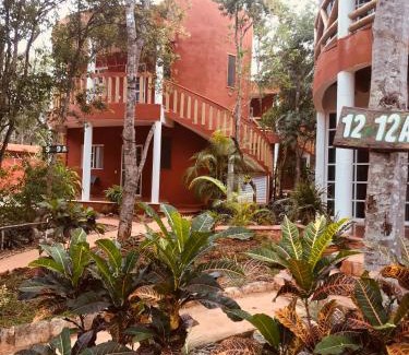 Santa Elena Cabina | Eco-Hotel Nueva Altia