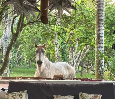 Puerto Jimenez Casa | Eco Lodge near Corcovado, 400m to Beach on a Peaceful Private Reserve