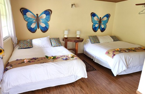 Los Naranjos Cama Y Desayuno | Eco resort: Panama's largest butterfly exhibit, native bee and honey farm