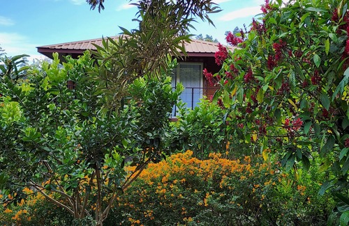 Los Naranjos Cama Y Desayuno | Eco resort: Panama's largest butterfly exhibit, native bee and honey farm