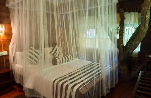Ella Complejo | Eco Village