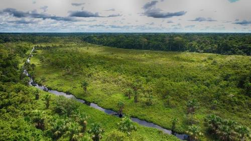 Las Piedras Cabina | Ecoamazonia Lodge