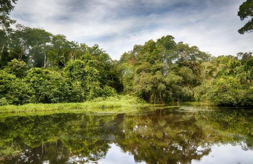 Las Piedras Cabina | Ecoamazonia Lodge