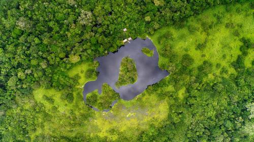 Las Piedras Cabina | Ecoamazonia Lodge