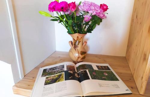 Saint-Bauzile Casa | Ecogite de l'adonis
