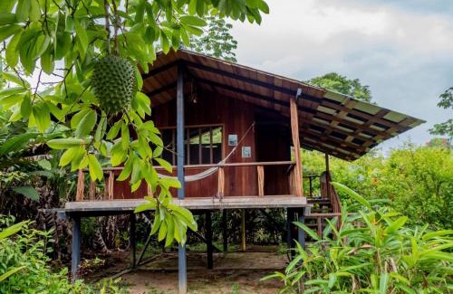 Bahia Solano Cabina | Ecohotel Riomar Mecana