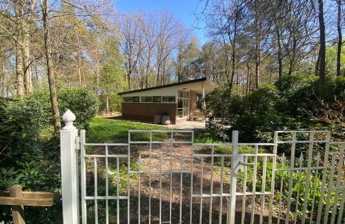 Barchem Casa | Ecolodge Bergzicht de Specht Luxe boshuis