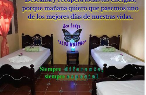 Santa Cruz Cabina | Ecolodge Blue Morpho