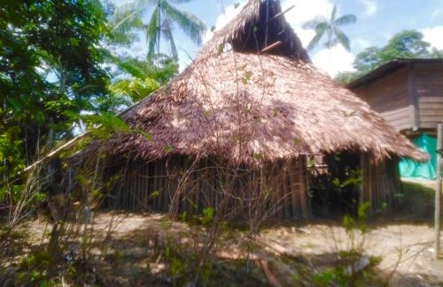 Leticia Casa | Ecolodge Zuruma