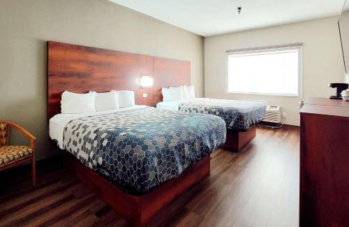 Fargo Cabina | Econo Lodge