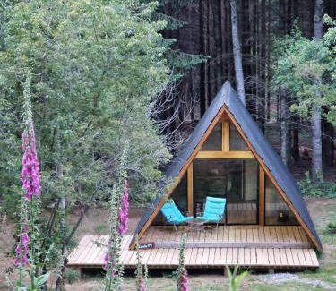 Villarrica Chalet De Esquí | Ecos del Manantial