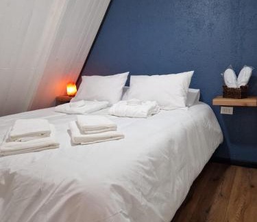 Villarrica Chalet De Esquí | Ecos del Manantial