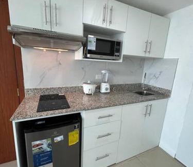 Las Penas Apartamento | Ecusuites Ejecutiva Mini view río guayas Aeropuerto