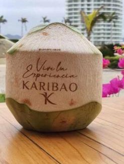 Coastal Region Apartamento | Ecusuites Karibao Room 3 Genius playas
