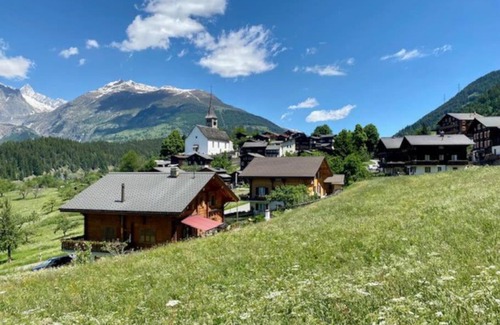Ernen Apartamento | Edelweiss Holiday Apartment