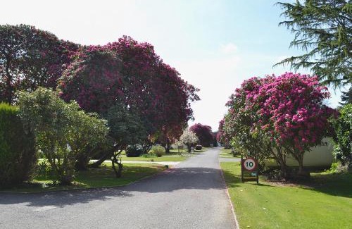 Liskeard Casa | Eden - B6526