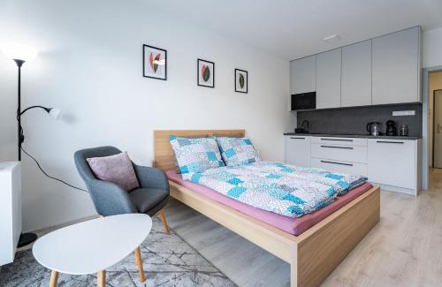 Olomouc Apartamento | Edmund's apartments 21