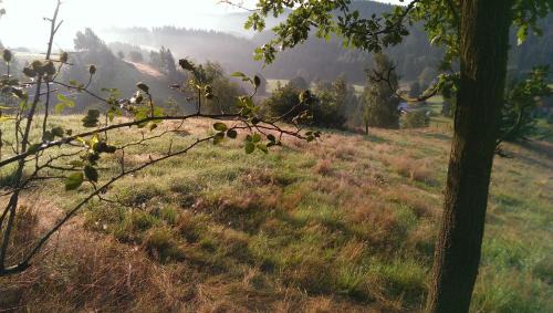 Hinterhermsdorf Apartamento | Ein Platz für Ruhe und Naturgenuss