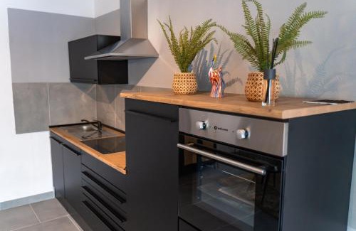 Offenbach am Main Apartamento | EIN Zi APARTMENT ZENTRUM WLAN PARKPLATZ 01