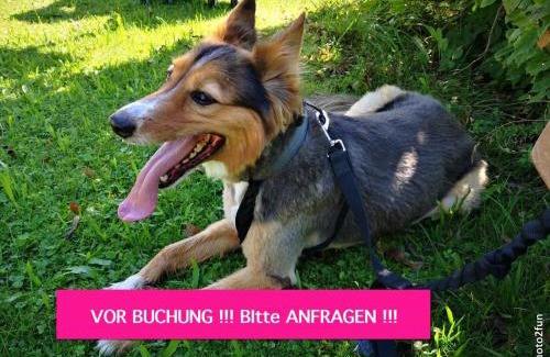 Frankweiler Apartamento | einfache Monteurwohnung mit WLAN und Sat Tv, Netflix