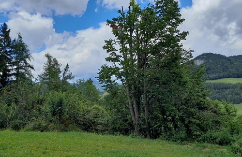 Maria Schutz Casa | Einhornhaus