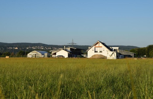 Sinzig Apartamento | Einladende Ferienwohnung auf Bauernhof in Sinzig